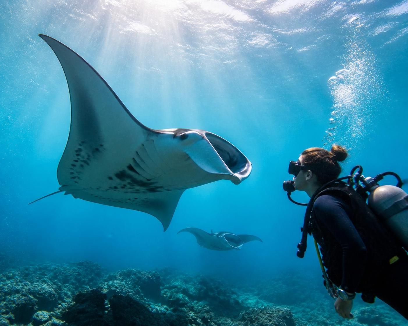 découvrez les activités incontournables à nusa penida pour un séjour inoubliable : plages paradisiaques, randonnées, sites naturels et expériences culturelles uniques.
